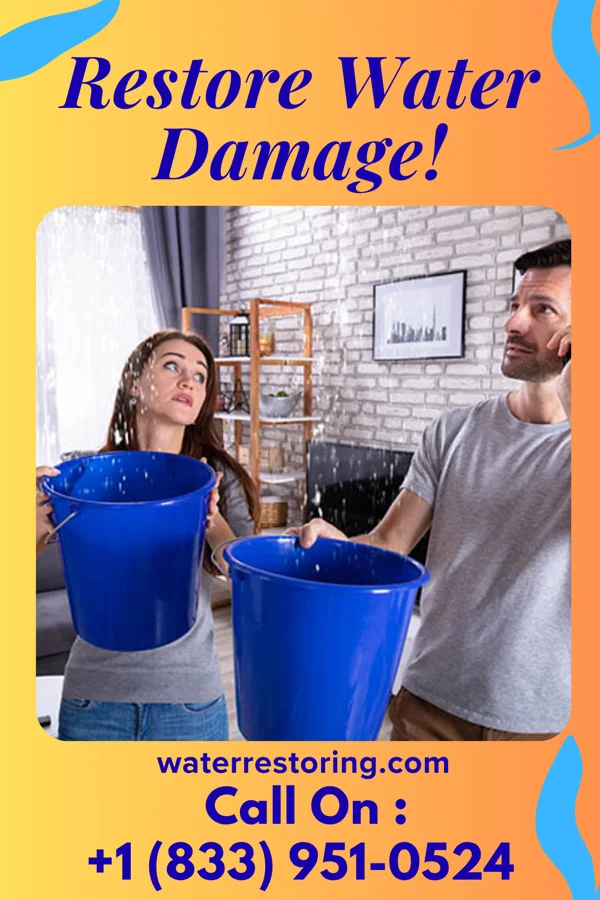 water restoration Silver Flood Mitigation Services Laurel