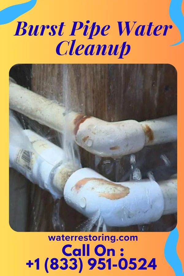 Burst Pipe Water Cleanup in Laurel, MD