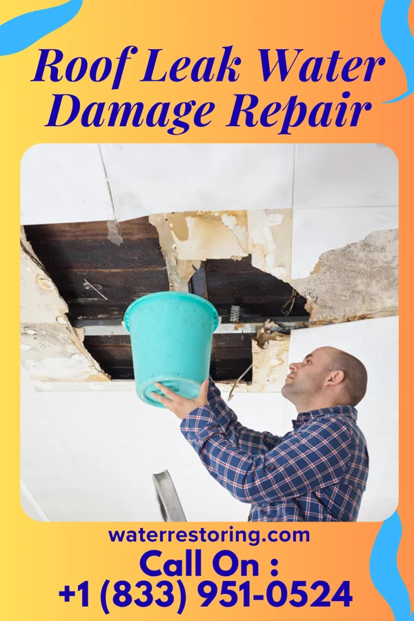 Roof Leak Water Damage Repair in Laurel, MD