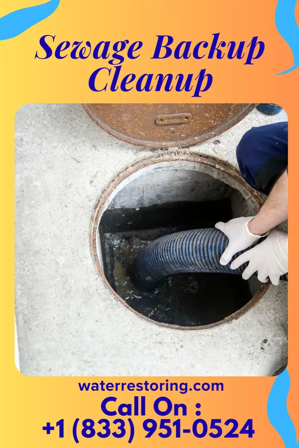 Sewage Backup Cleanup in Laurel, MD