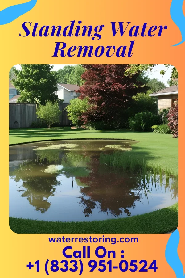Standing Water Removal in Laurel, MD